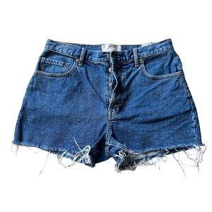 Everlane The Cheeky Denim Shorts